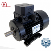 意大利MOTOVARIO電機(jī)M系列-自啟動同步電機(jī)